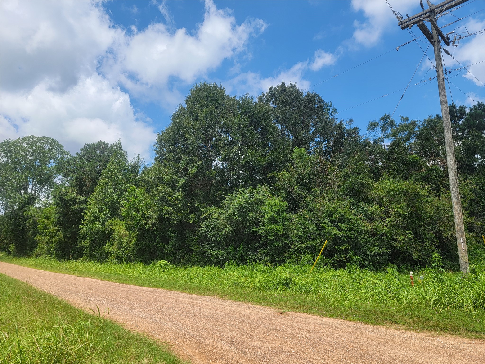 0 Farm Pasture Road Shepherd, TX 77371 - Photo 6 of 6
