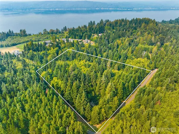 a view of a yard and lake view