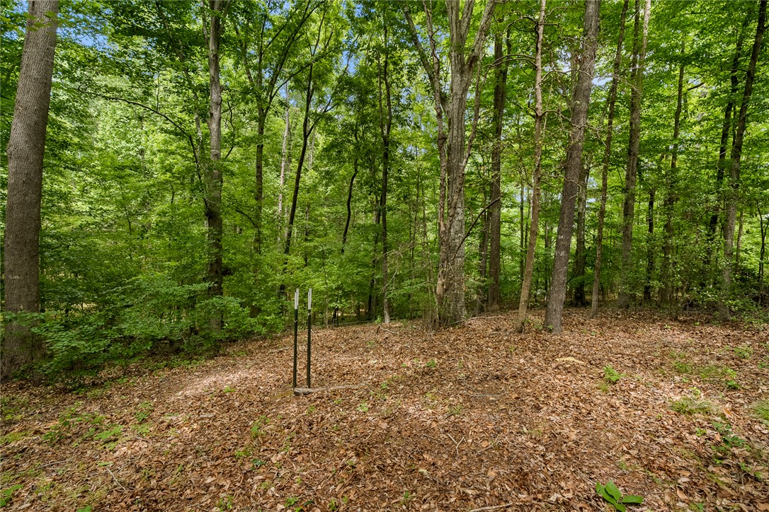 141 Lone Eagle Way Iva, SC 29655 - Photo 35 of 45