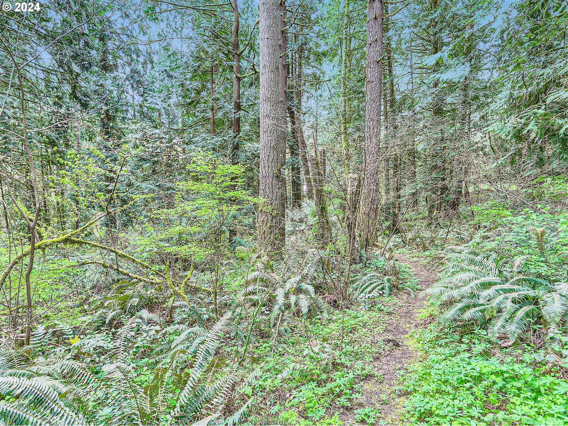 5505 Southwest Delker Road Tualatin, OR 97062 - Photo 30 of 35 Gallery Image 30