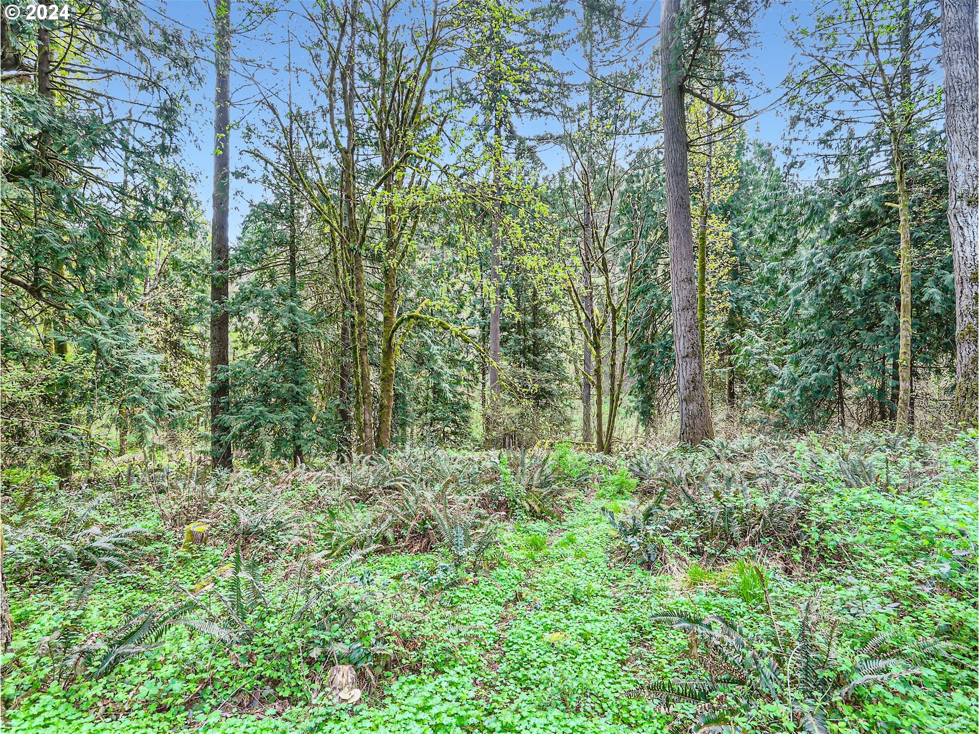 5505 Southwest Delker Road Tualatin, OR 97062 - Photo 31 of 35 Gallery Image 31