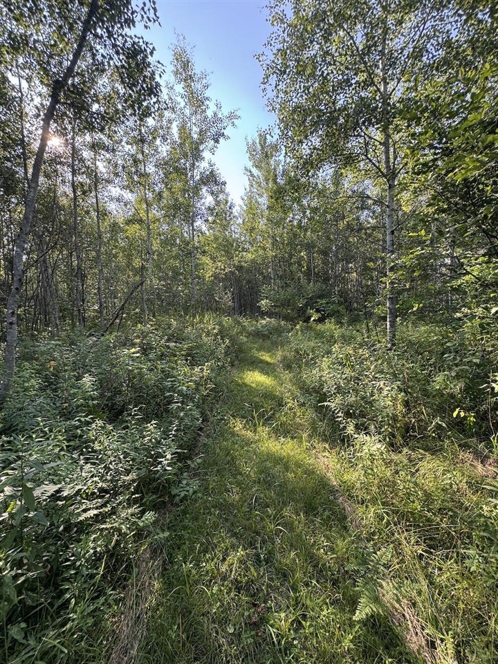 East Procunier Road Harrisville, MI 48740 - Photo 58 of 78 Gallery Image 58