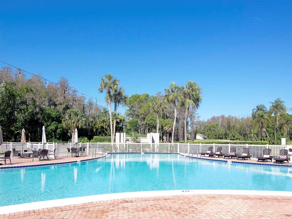 3422 Trophy Boulevard New Port Richey, FL 34655 - Photo 21 of 21 a view of a swimming pool with chairs