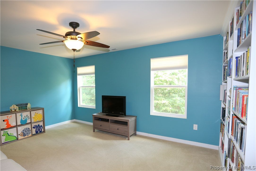 176 Braddock Road Williamsburg, VA 23185 - Photo 36 of 50 Gallery Image 36