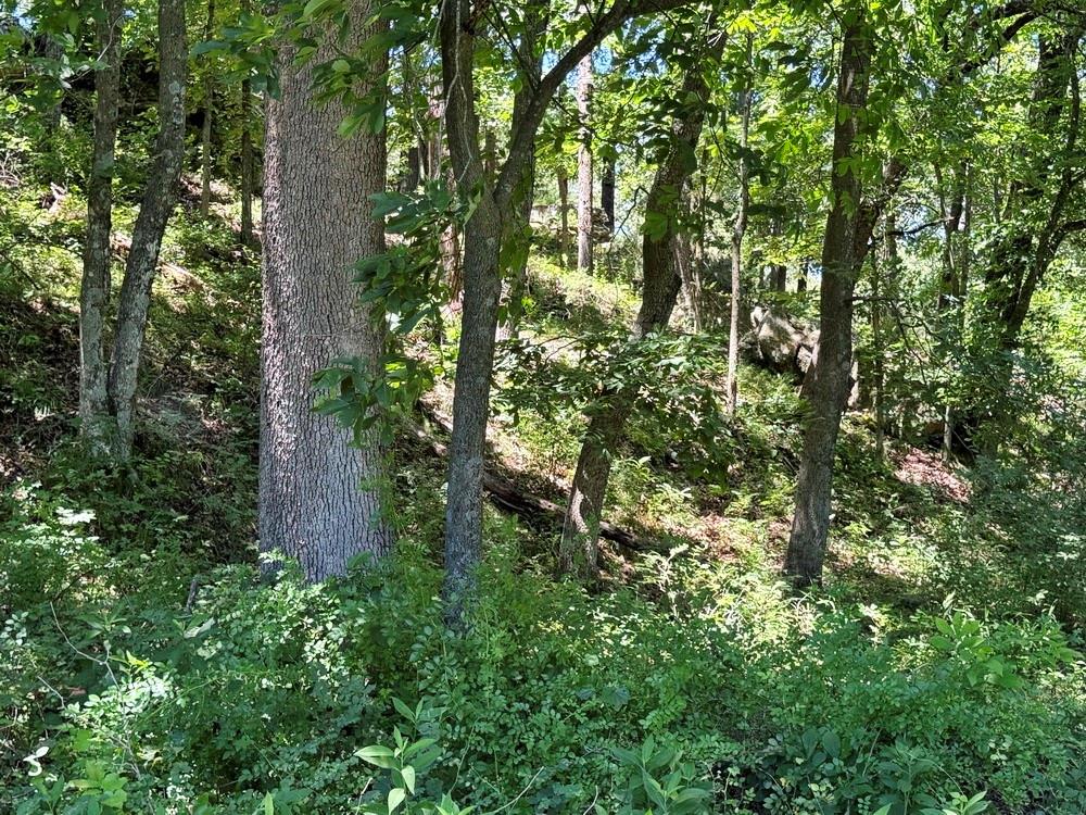 Tbd South 363 Road El Dorado Springs, MO 64744 - Photo 21 of 46