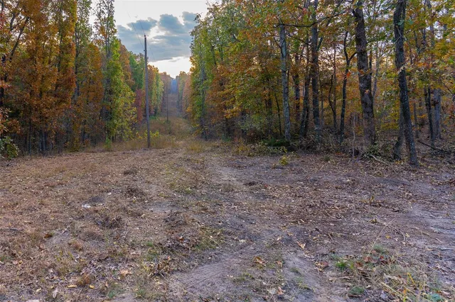 $54,880 | 0 Highway Jj (tract 7) Marquand Mo 63655, Marquand, MO 63655