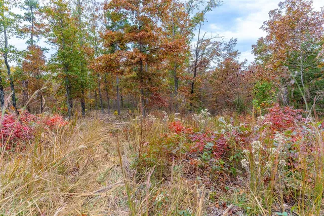 $54,880 | 0 Highway Jj (tract 7) Marquand Mo 63655, Marquand, MO 63655