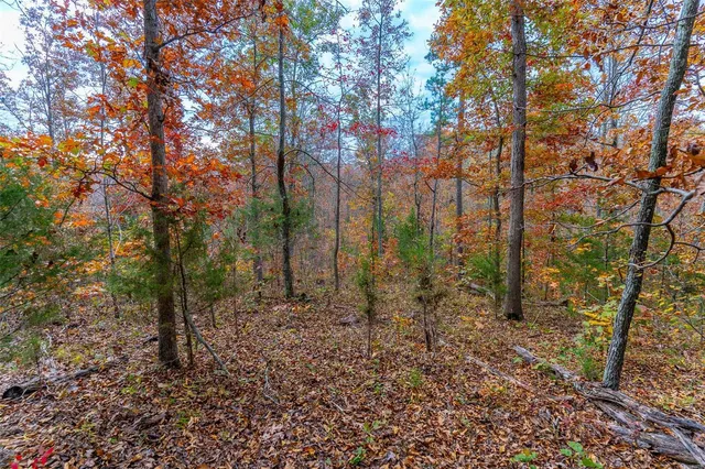 $54,880 | 0 Highway Jj (tract 7) Marquand Mo 63655, Marquand, MO 63655