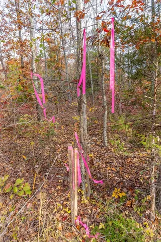 $54,880 | 0 Highway Jj (tract 7) Marquand Mo 63655, Marquand, MO 63655