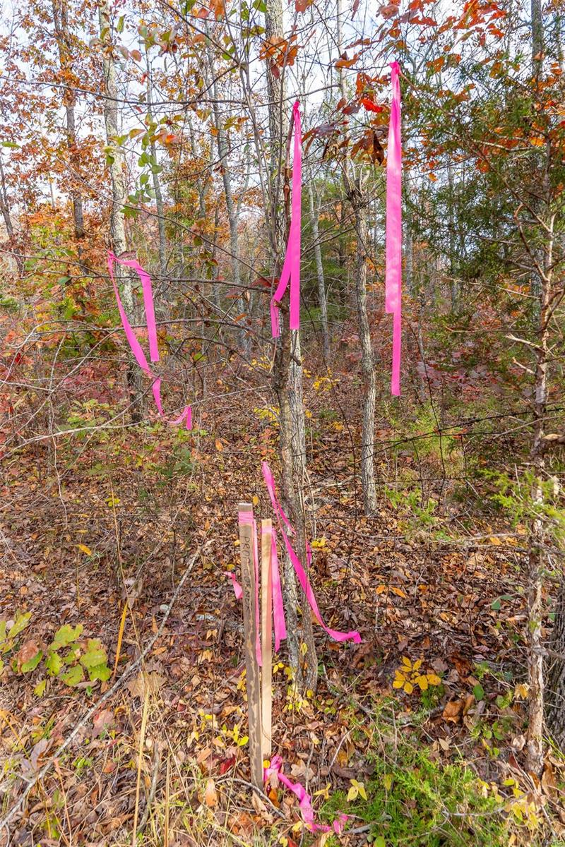 0 Highway Jj (tract 7) Marquand Mo 63655 Marquand, MO 63655 - Photo 27 of 32