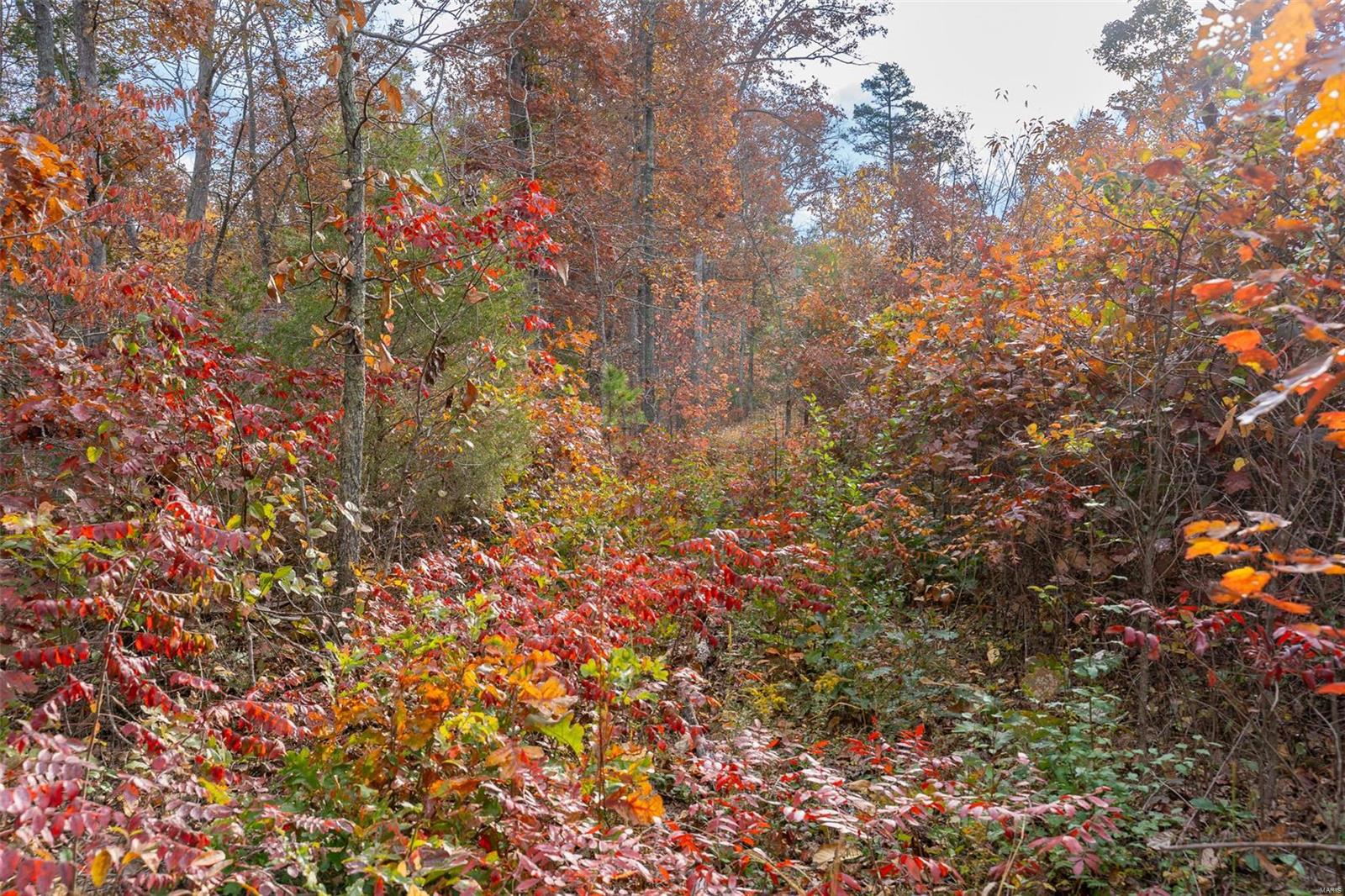 0 Highway Jj (tract 7) Marquand Mo 63655 Marquand, MO 63655 - Photo 28 of 32