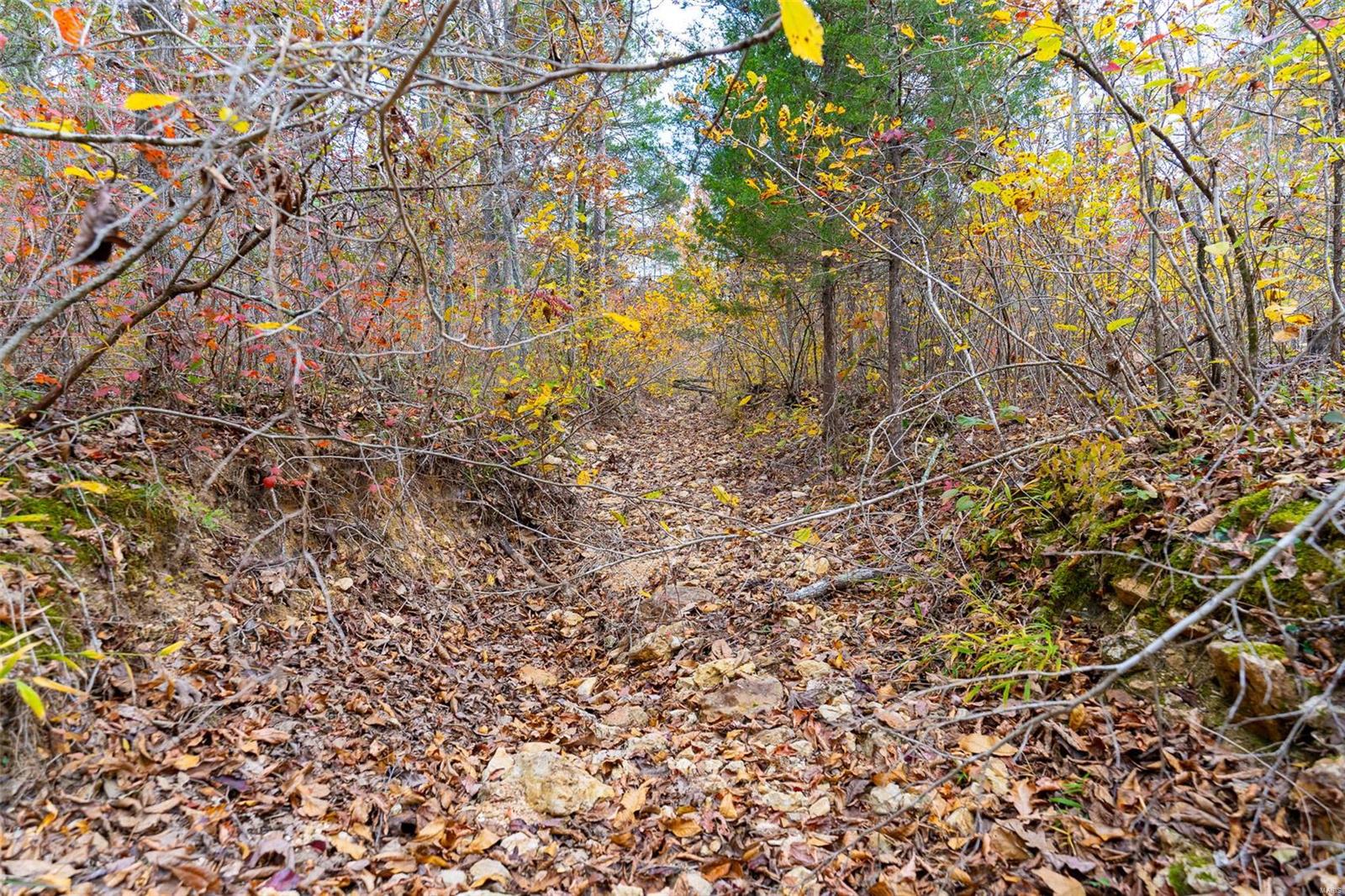 0 Highway Jj (tract 7) Marquand Mo 63655 Marquand, MO 63655 - Photo 29 of 32