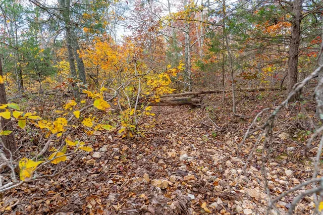 $54,880 | 0 Highway Jj (tract 7) Marquand Mo 63655, Marquand, MO 63655