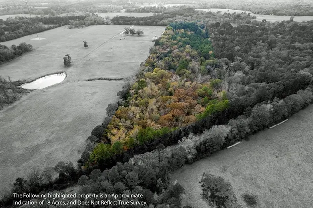 a view of a road with a yard