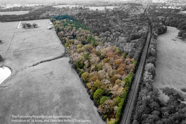 a view of a yard with plants