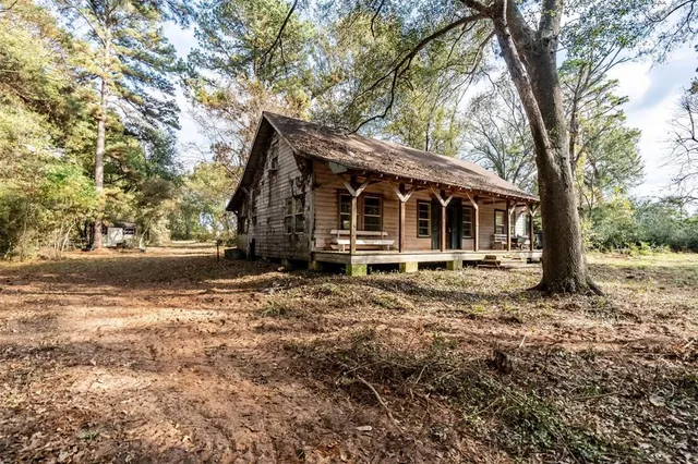 a view of a house with a tree in the forest