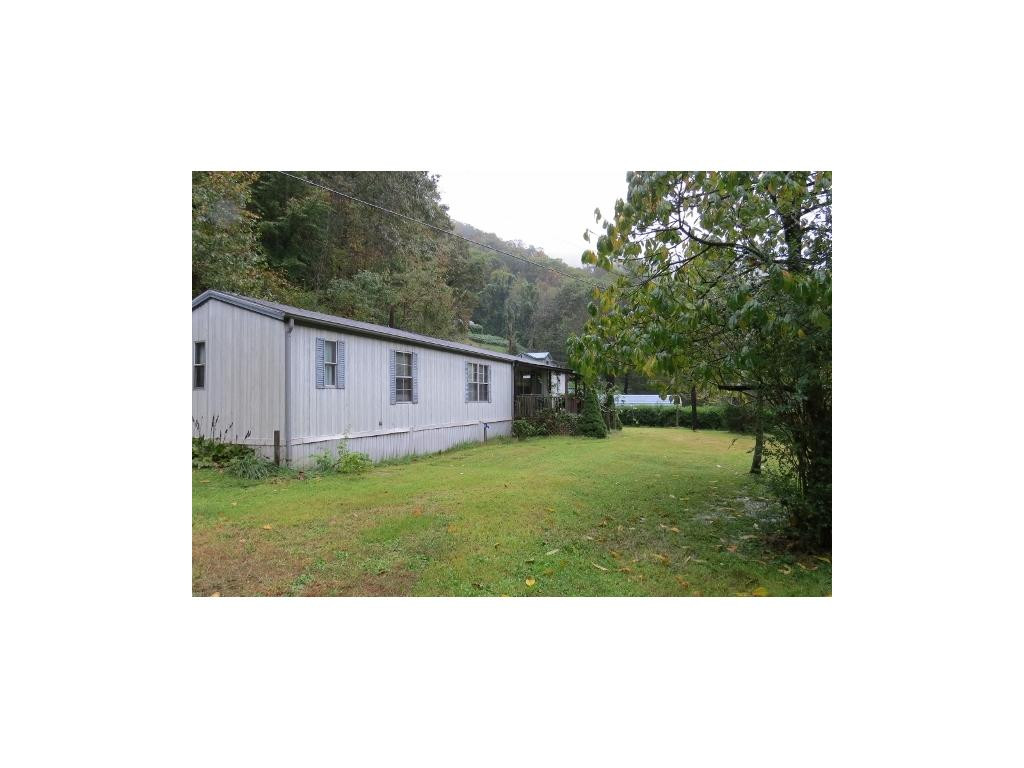 3604 Sparrow Road Coeburn, VA 24230 - Photo 3 of 4 Nice Level Yard
