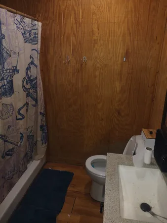 a white toilet sitting next to a shower curtain