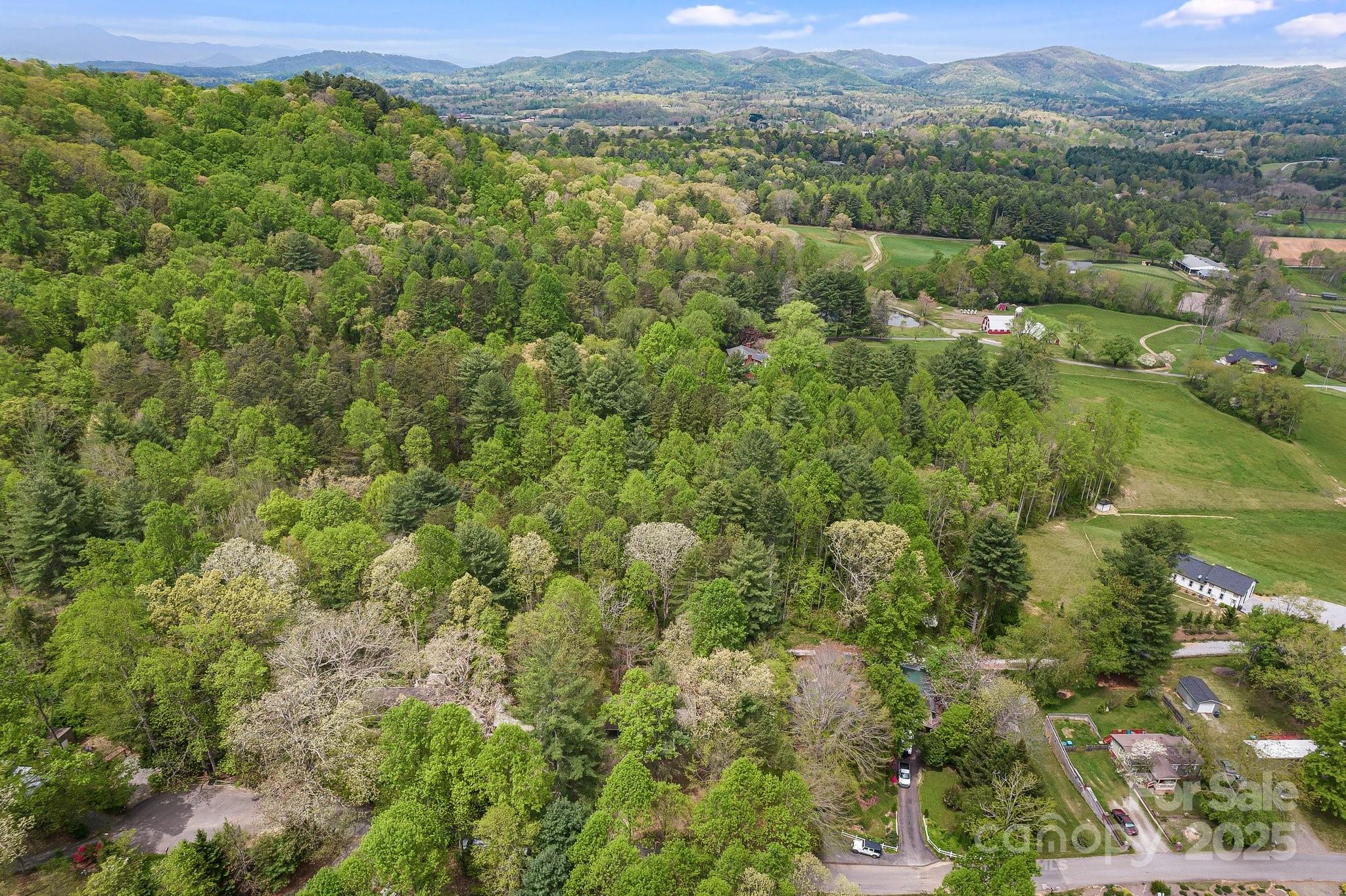 20 Timbers Edge Lane Fairview, NC 28730 - Photo 30 of 33