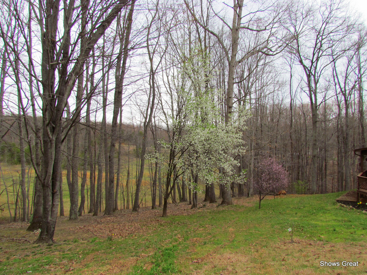 255 Deerfield Road Hardy, VA 24101 - Photo 22 of 23 Land