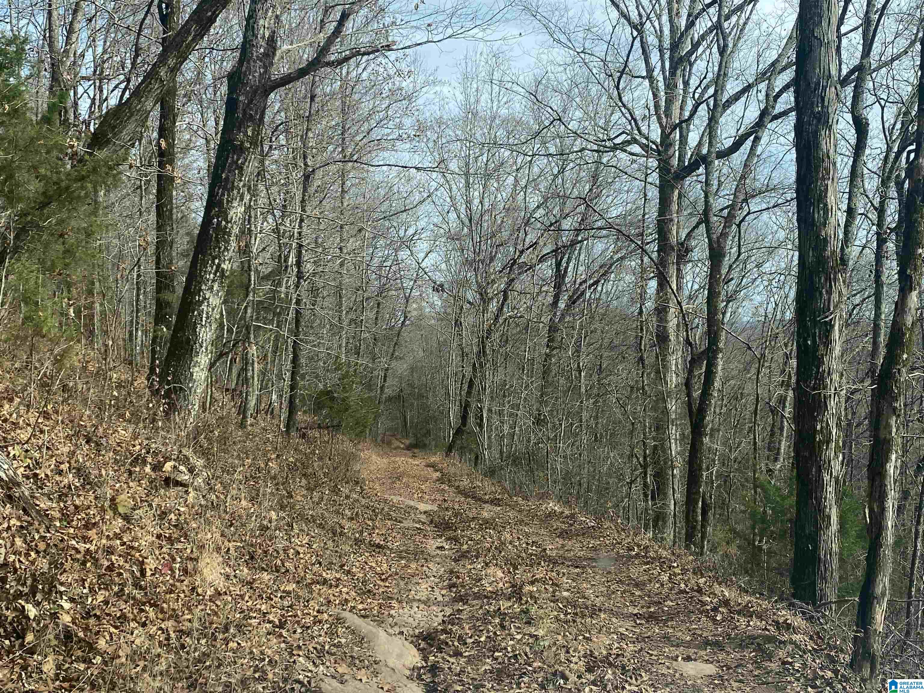 543 Young Road Remlap, AL 35133 - Photo 42 of 46
