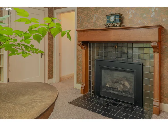 a potted plant sitting in front of a fireplace