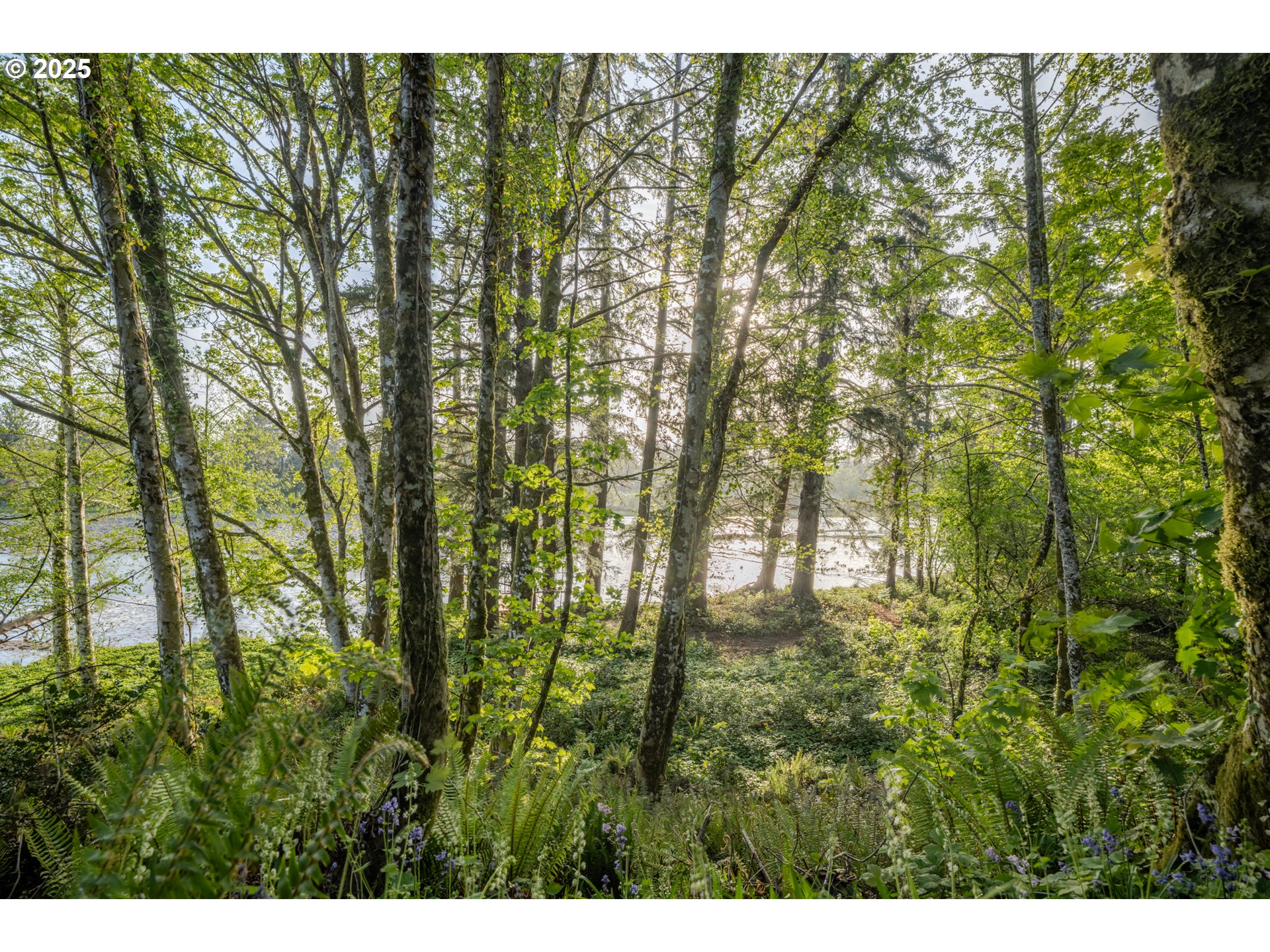 92216 Whiskey Road Warrenton, OR 97146 - Photo 38 of 48 a backyard of a house with lots of plants