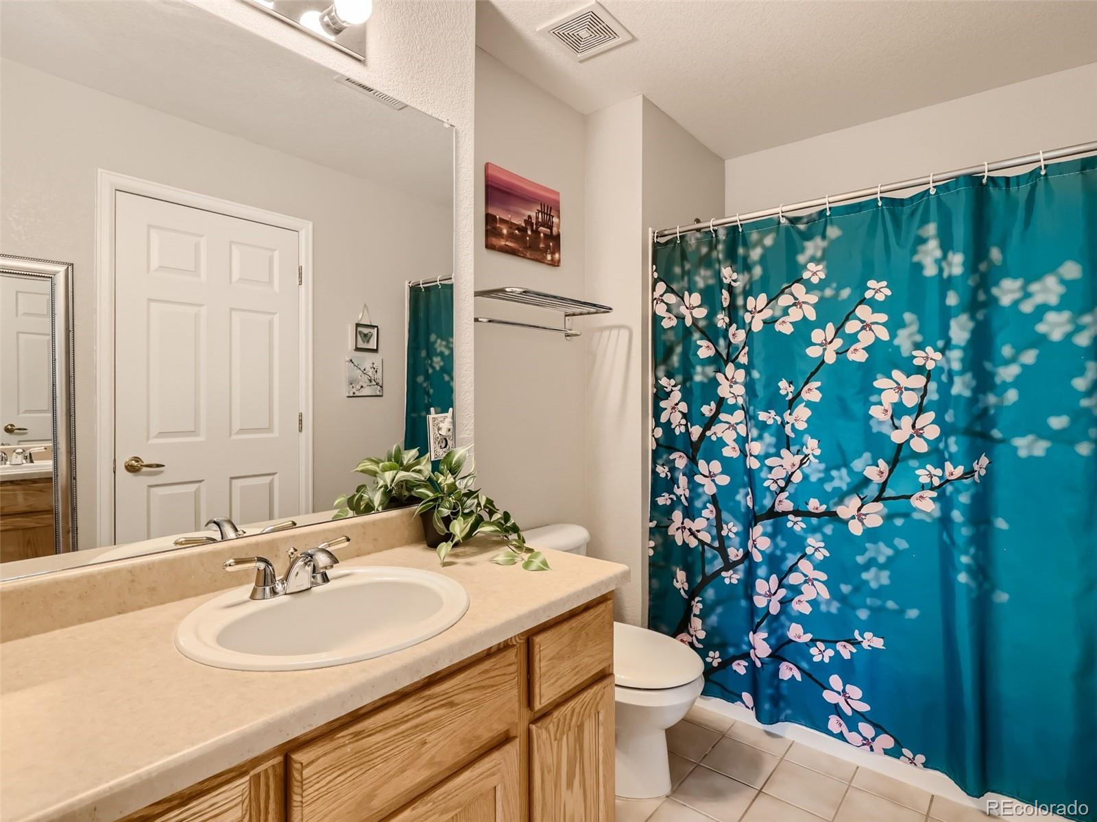 1493 Ophir Road Castle Rock, CO 80109 - Photo 21 of 40