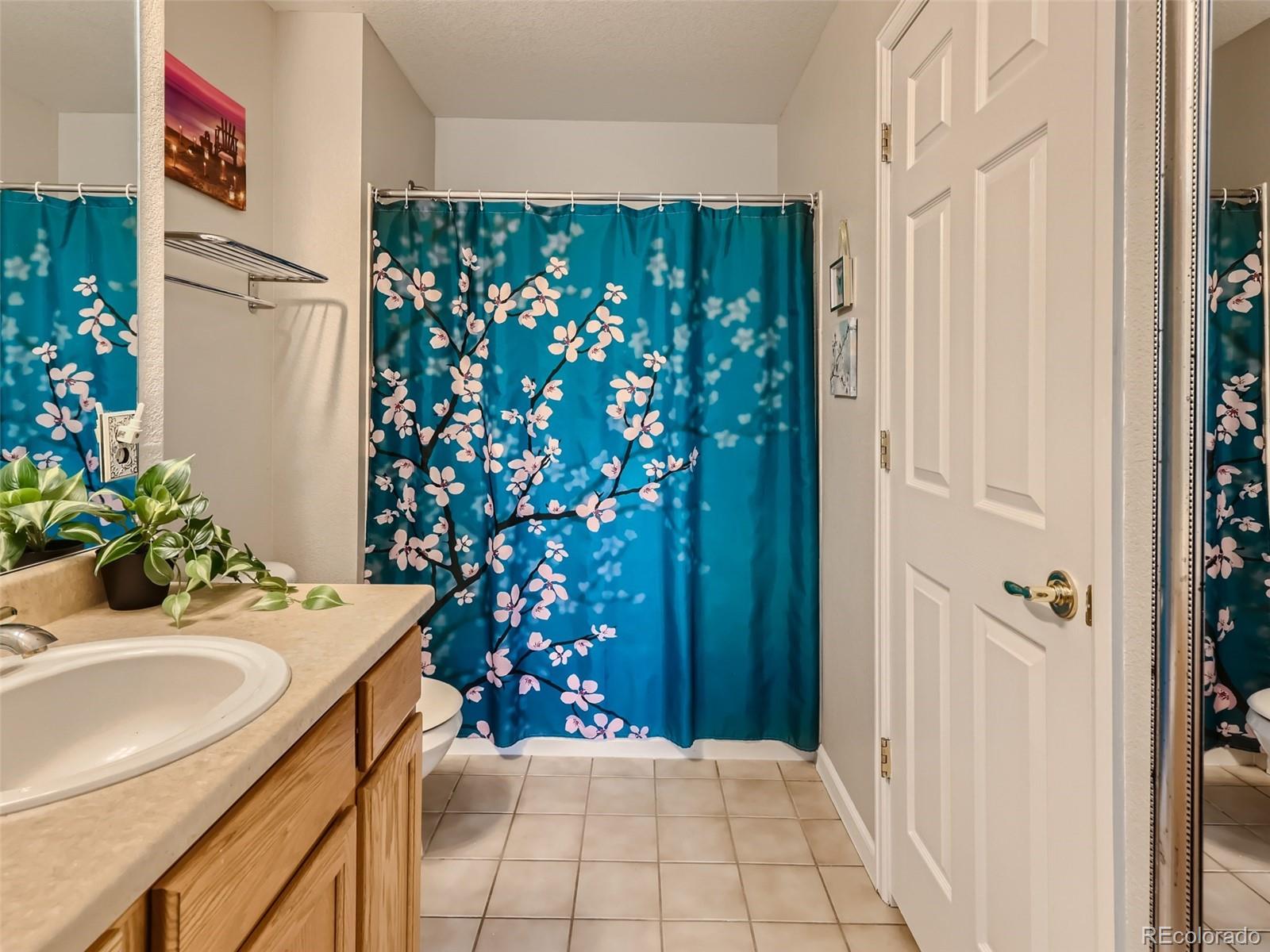 1493 Ophir Road Castle Rock, CO 80109 - Photo 22 of 40