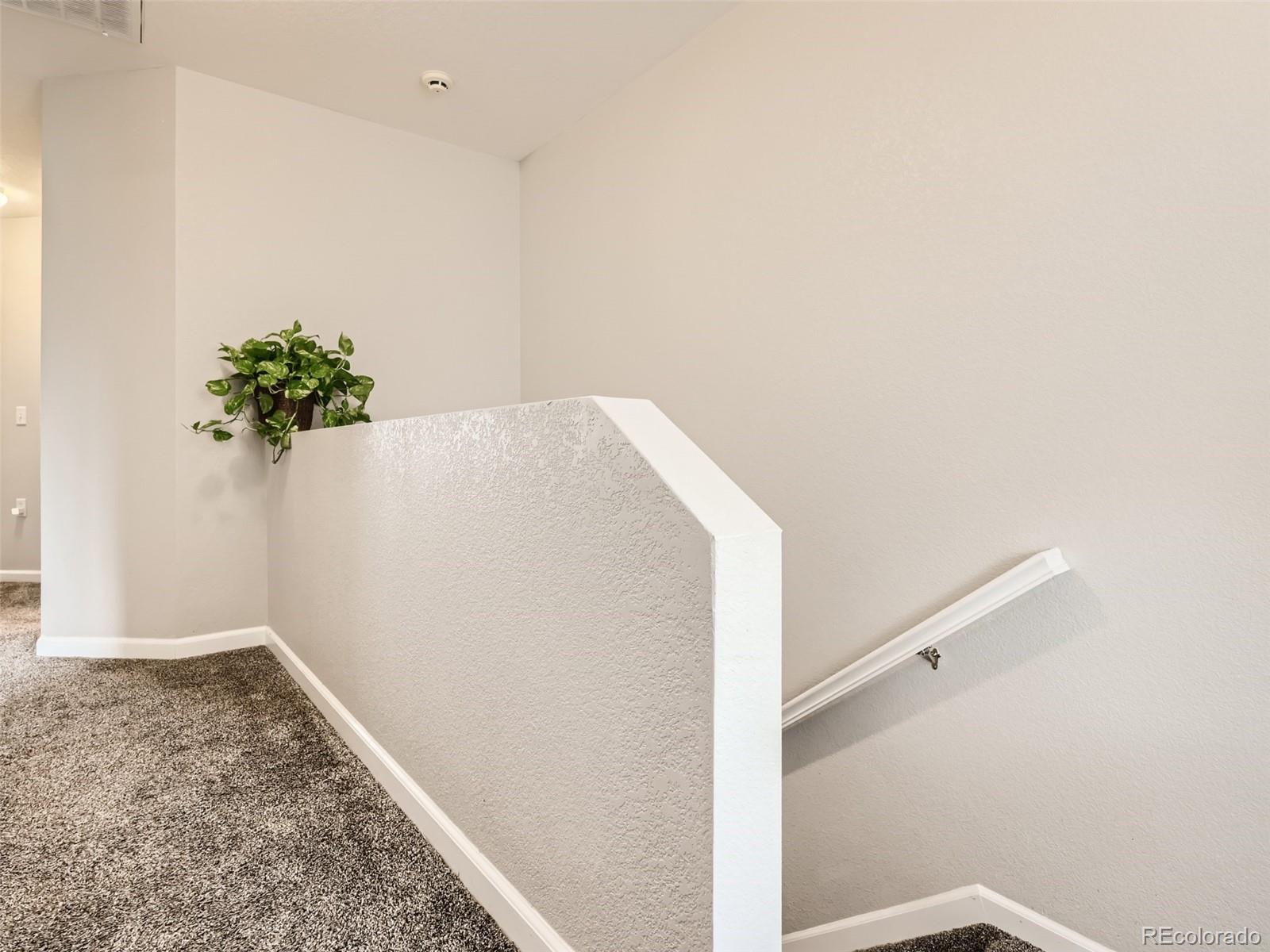 1493 Ophir Road Castle Rock, CO 80109 - Photo 29 of 40