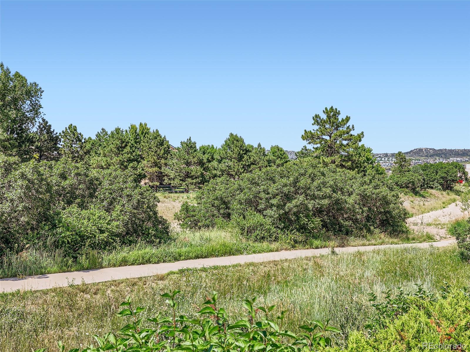 1493 Ophir Road Castle Rock, CO 80109 - Photo 35 of 40