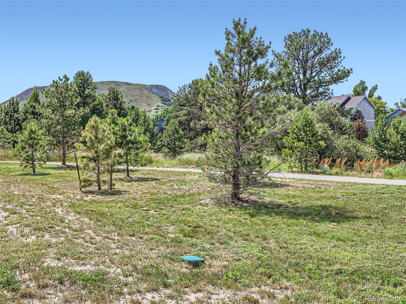 1493 Ophir Road Castle Rock, CO 80109 - Photo 36 of 40
