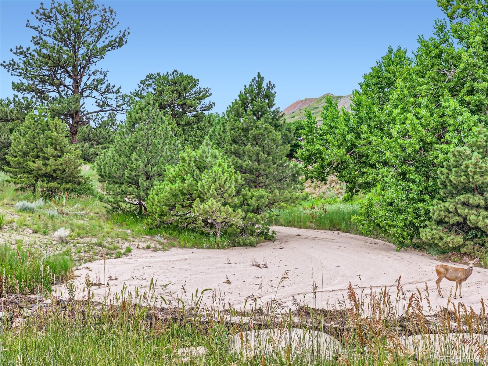 1493 Ophir Road Castle Rock, CO 80109 - Photo 37 of 40