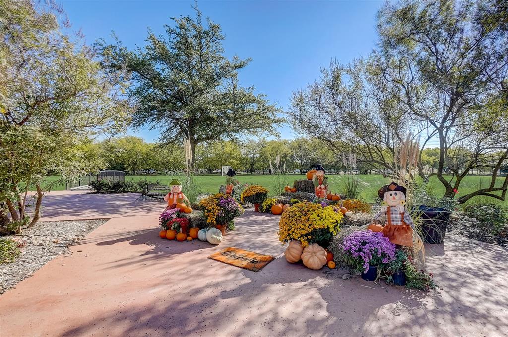 2113 Rubin Road Fate, TX 75189 - Photo 32 of 37