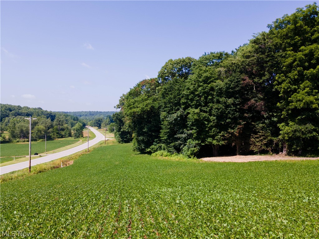 Pigeon Roost Road Howard, OH 43028 - Photo 16 of 16