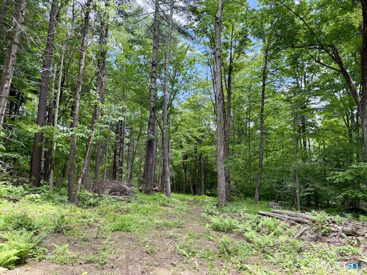 0 Great Hollow Road West Cornwall, CT 06796 - Photo 3 of 10