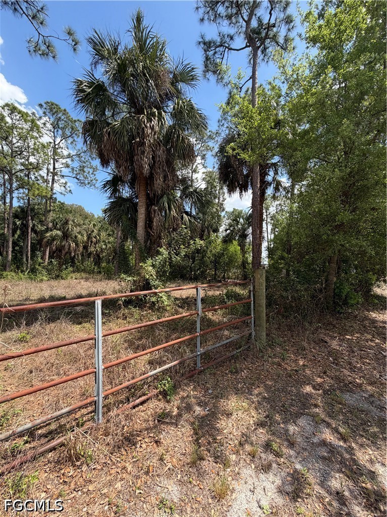 8261 Scarecrow Road North Fort Myers, FL 33917 - Photo 8 of 10