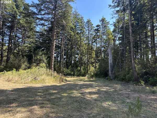 a view of a yard with large trees