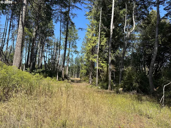 a view of outdoor space with trees