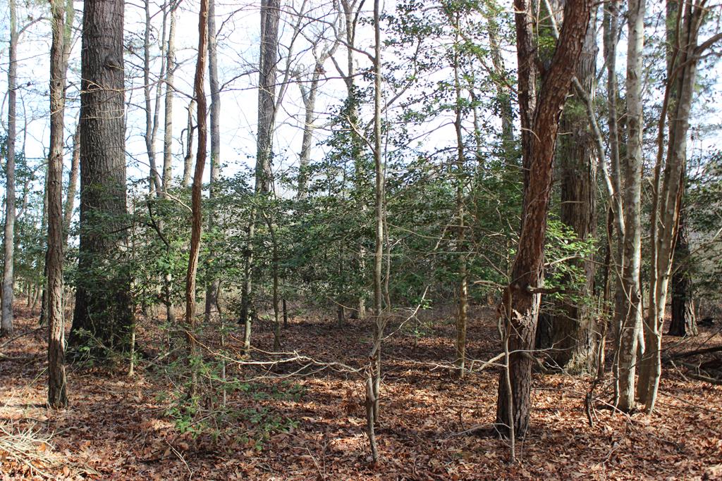 151 Shanghai Road, Unit 151 Greenbackville, VA 23356 - Photo 1 of 25