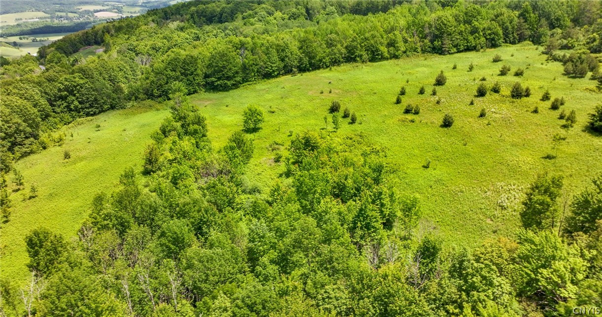 Bush Street Cobleskill, NY 12043 - Photo 2 of 12
