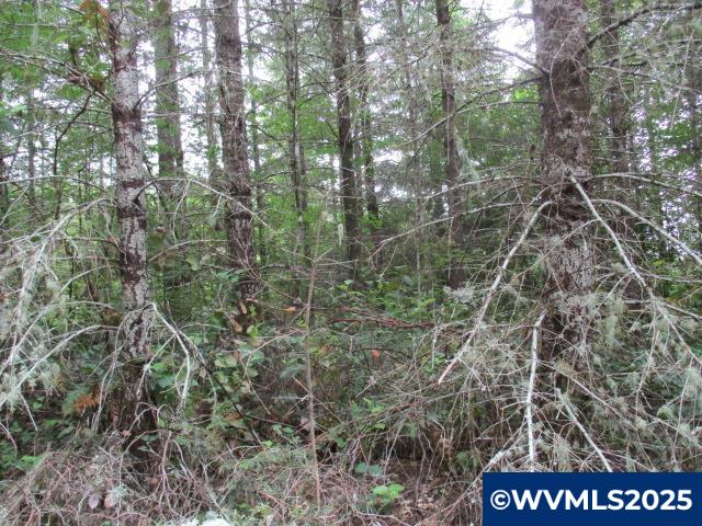 0 Gruber South Road Estacada, OR 97023 - Photo 27 of 30