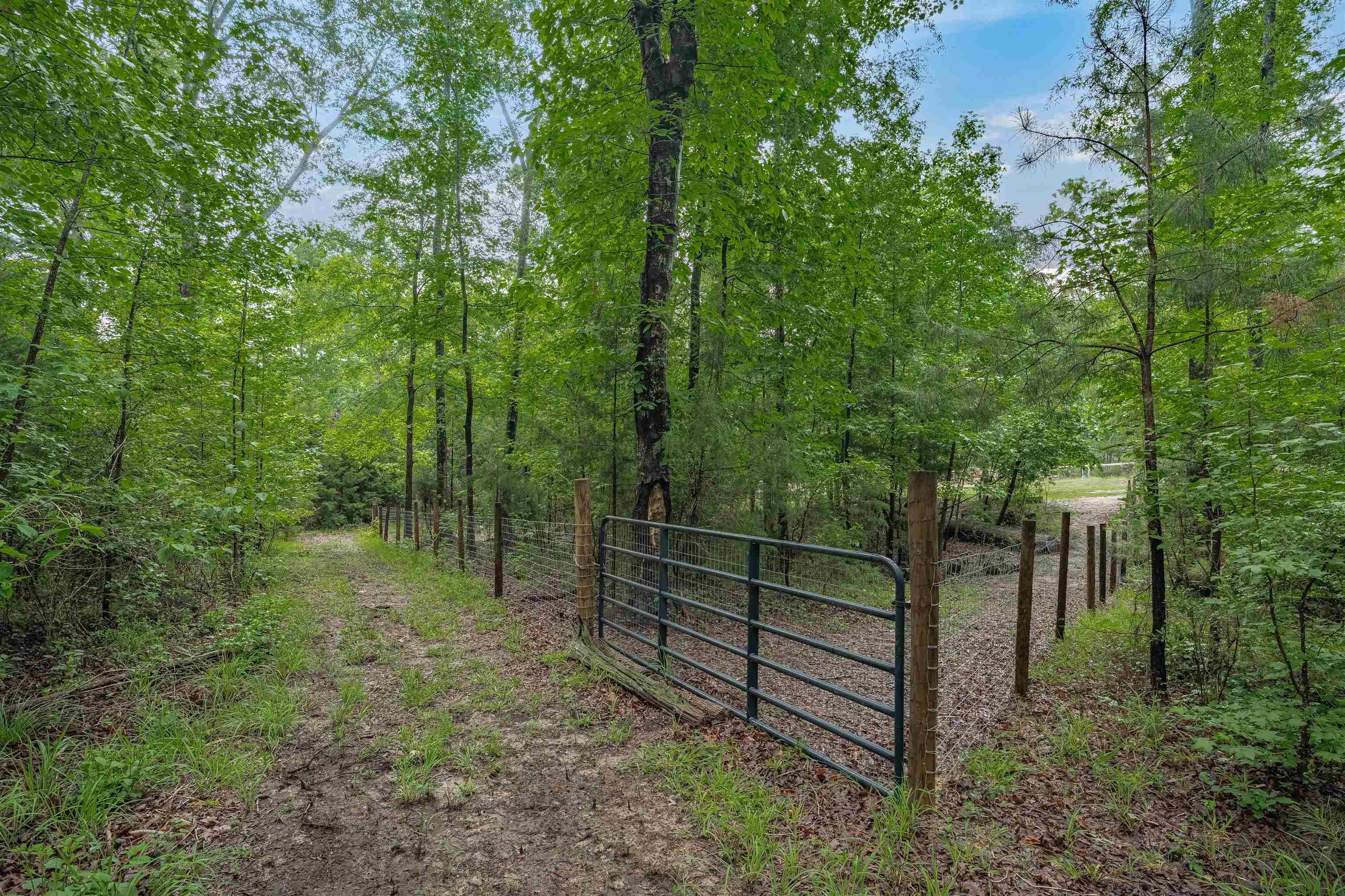 565 Portia Road Blythewood, SC 29016 - Photo 59 of 70
