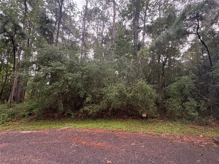 a view of backyard with green space
