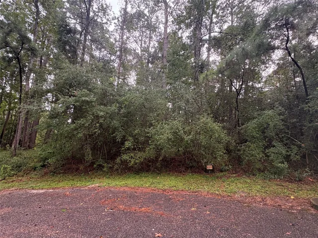 a view of backyard with green space