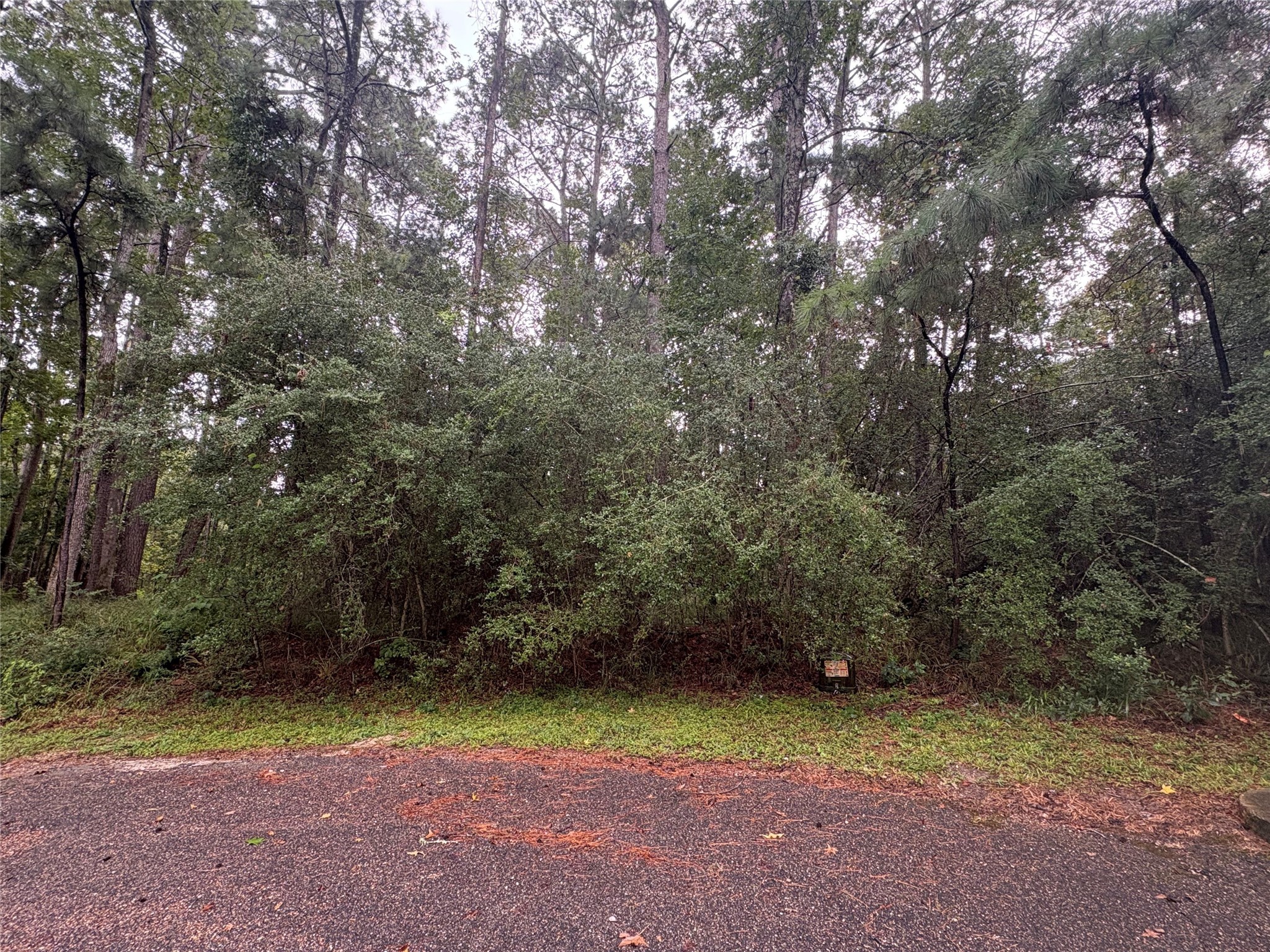 a view of backyard with green space
