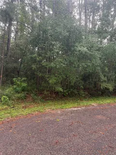 a view of a yard with a trees