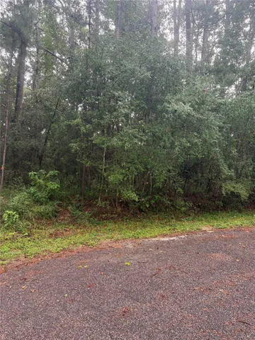 a view of a yard with a trees