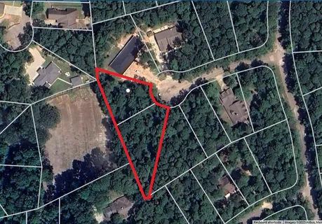 a view of a park with large trees