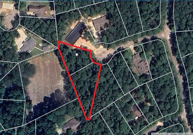 a view of a park with large trees